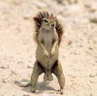 Picture for song 'Nut Sack (Interview Version)' by artist 'Rory David'