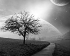 Picture for song 'New Hope' by artist 'RSP Dean'