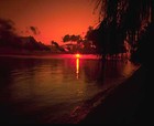 Picture for song 'Chilled Island' by artist 'Sahumerio'