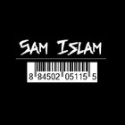 Picture for song 'Broken Freeway' by artist 'Sam Islam'