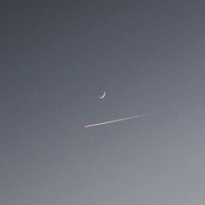 Picture for song 'love story' by artist 'SAMURAIVECNI'