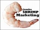 Picture for song 'Biggest lil' Shrimp in Town' by artist 'Sanctioned Interbretion'