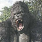 Picture for song 'Jungle' by artist 'Sandman Productions (US)'