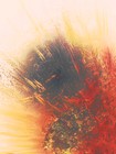 Picture for song 'iridescent night' by artist 'Sans Edge'