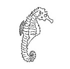 Picture for song 'IRRESISTIBLE' by artist 'SCHOLASTICBAND'