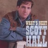 Picture for song 'What's Next' by artist 'Scott Hall'