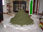 Picture for song 'Pounds ***FREE DOWNLOAD***' by artist 'Scott Swoosh'