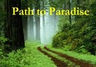 Picture for song 'RIGHT PATH' by artist 'SEAN CHRIST'