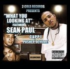 Picture for song 'WHAT YOU LOOKING AT' by artist 'SEAN P (YOUNGBLOODZ) CAPP1 PUSHER DEVILLE'