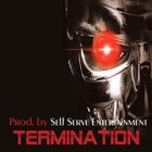 Picture for song 'Termination' by artist 'Self Serve Entertainment'