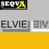 Picture for song 'seqva - elvie' by artist 'seqva'