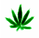 Picture for song 'nije losh fazon' by artist 'Serious Black'