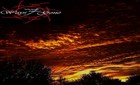 Picture for song 'Awaken Me' by artist 'Seven Ways Gone'