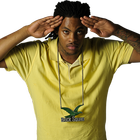 Picture for song 'Mafia (snippet)' by artist 'ShamWow'