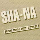Picture for song '2) Hou van het leven' by artist 'ShaNaMusic'