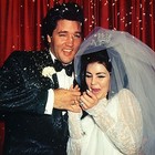 Picture for song 'LOVE ME TENDER' by artist 'SHANE TREACY AND THE SUNFLOWER MEN'