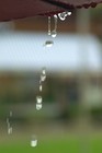 Picture for song 'Walking Out In The Rain' by artist 'Shannon Rogers'