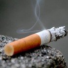 Picture for song 'Bad Habits' by artist 'Shiftyproduction'