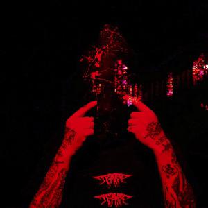 Picture for song 'REAL ASS KILLAZ' by artist 'shino6i'