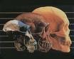 Picture for song 'Ancient Egypt Vs Greeks' by artist 'SKaTT'