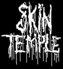 Picture for song 'Desperation For The Truth' by artist 'Skin Temple'