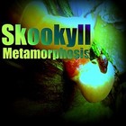 Picture for song 'Flip' by artist 'Skookyll'