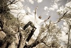 Picture for song 'i put that on my life' by artist 'SMOKE P KOLIEONE'