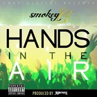 Picture for song 'Smokey G - Hands In The Air (Produced by 3Diesel).' by artist 'Smokey G (RSA)'
