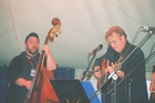 Picture for song 'trailer Park Blues' by artist 'Something Spooked the Horses'