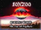 Picture for song 'The Tao Of Psychosis' by artist 'SONZOO'