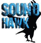 Picture for song 'SoundHawk - Gated-Whistle Beat' by artist 'SoundHawk'