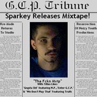 Picture for song 'SoundCheck (Intro)' by artist 'Sparkey 17'