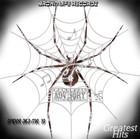 Picture for song 'Higher ft. Audible 484' by artist 'Spider aka Mr 19'