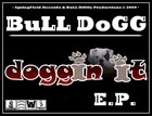 Picture for song 'BuLL DoGG - Wearing My Rolex (DnB Remix)' by artist '-SpringField Recordz-'
