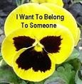 Picture for song 'I WANT TO BELONG TO SOMEONE - Velvet Roses' by artist 'Spud Martin sample'