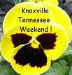Picture for song 'KNOXVILLE TENNESSEE WEEKEND - 1994Harry Eckert' by artist 'Spud Martin sample'