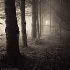 Picture for song 'CORRIDORS OF WOE' by artist 'Stan Loh'