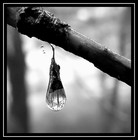 Picture for song 'Stephen Marley in love with you' by artist 'Stephen Marley'