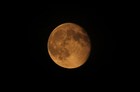 Picture for song 'Night Waltz' by artist 'Stephen.M (UK)'