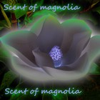 Picture for song 'Scent of magnolia' by artist 'Stereo2tape'