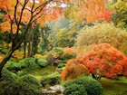 Picture for song 'Gardens of the Sky' by artist 'Steven Michael'