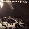 Picture for song 'Once In A Lifetime' by artist 'Steve One and the Shades'