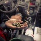 Picture for song '**New** LetzGetTrippy (Prod by @StunnaMFBaby813)' by artist 'StunnaOnDaTrack'