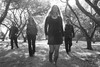 Picture for song 'The Butterfly/Kelly's Jig' by artist 'SUAS'