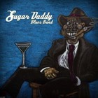 Picture for song 'You Can't Take My Car' by artist 'SUGAR DADDY BLUES BAND'
