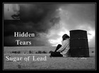 Picture for song 'Hidden Tears' by artist 'SugarofLead'