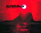 Picture for song 'If I ever get to Heaven' by artist 'Superjelly'