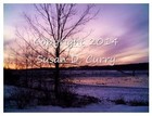 Picture for song 'Eternity' by artist 'Susan Curry'