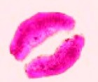 Picture for song 'TOP NOTCH. FT, J HUSTLE' by artist 'SYDNEY B'