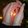 Picture for song 'Firefly' by artist 'Synthetic Movements'